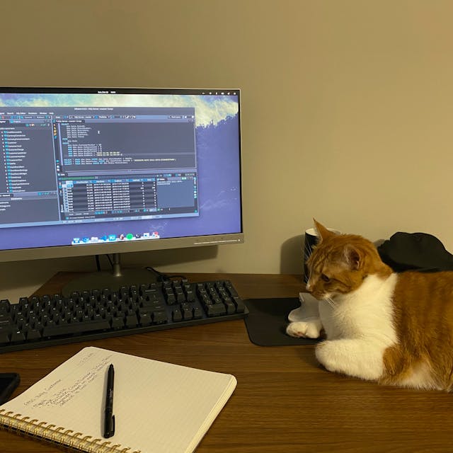 Devin's orange cat, Mittens, posed next to a computer monitor displaying a code editor